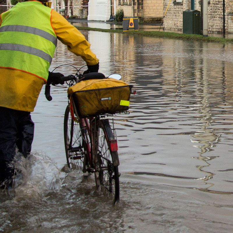 Cambio climático 