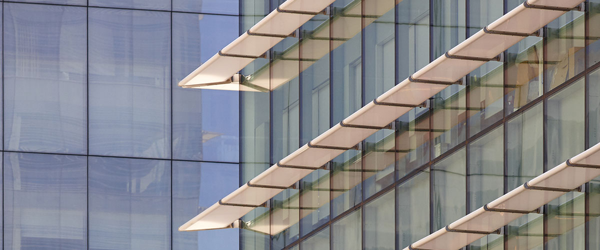 Estrategias de diseño para maximizar la entrada de luz.